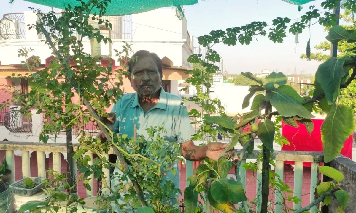 Growing Your Own Food