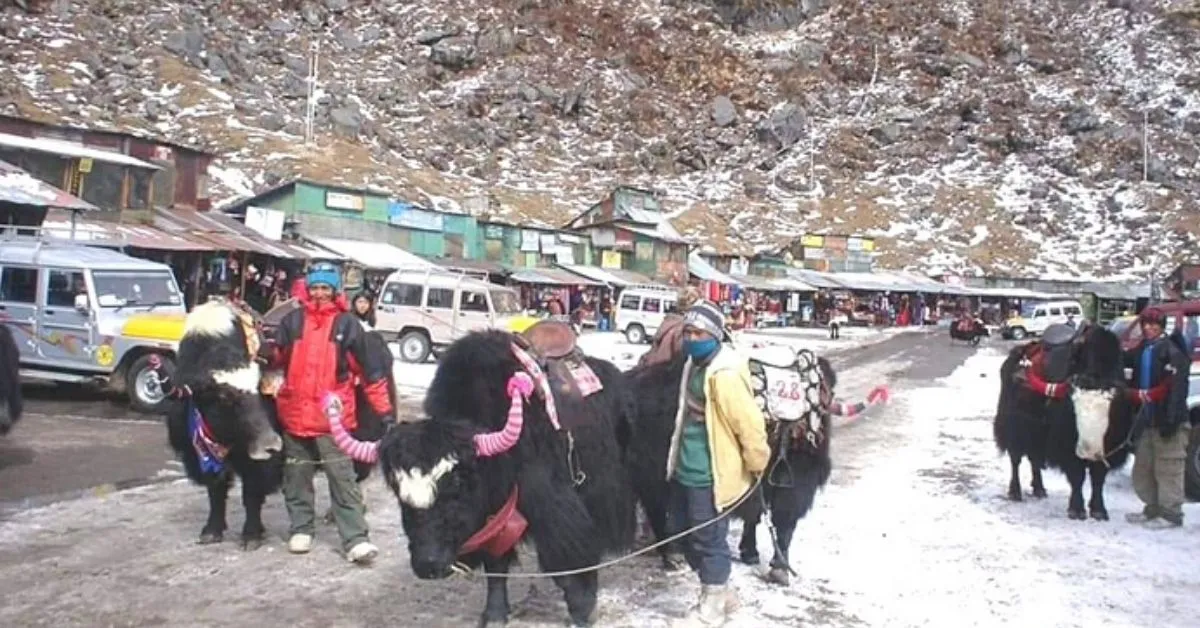 tsomgo lake sikkim