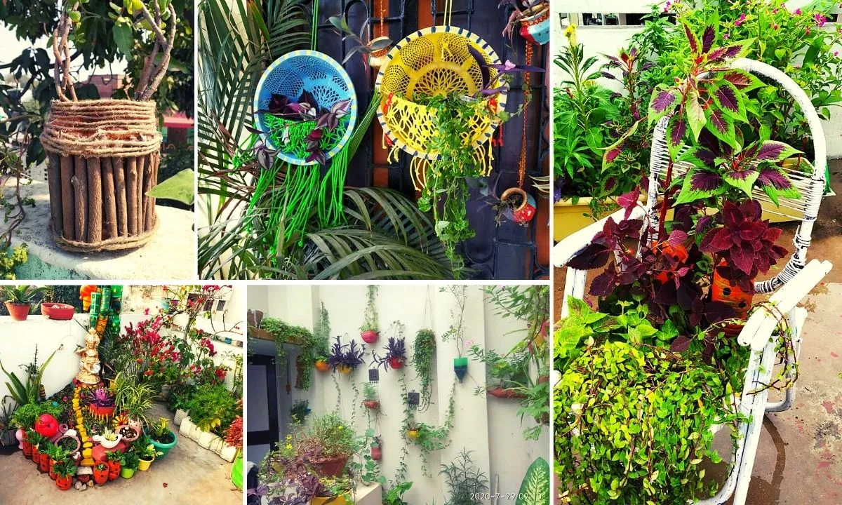 Zero Budget Gardening 