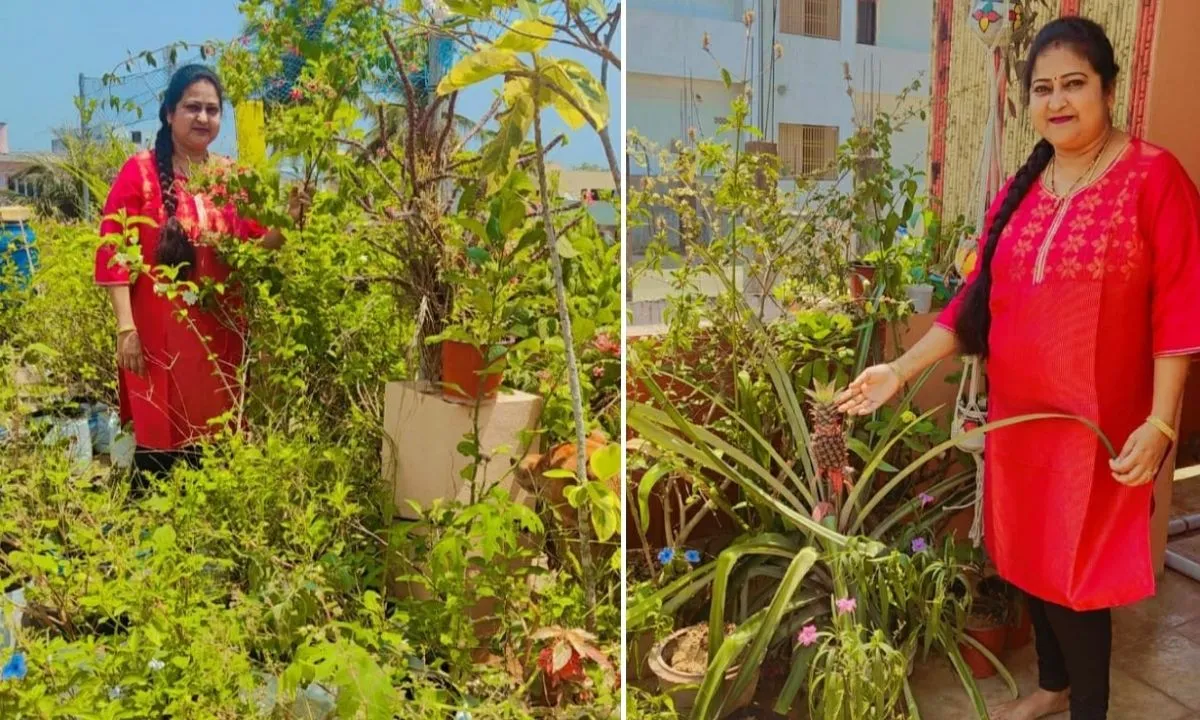 kitchen garden at home