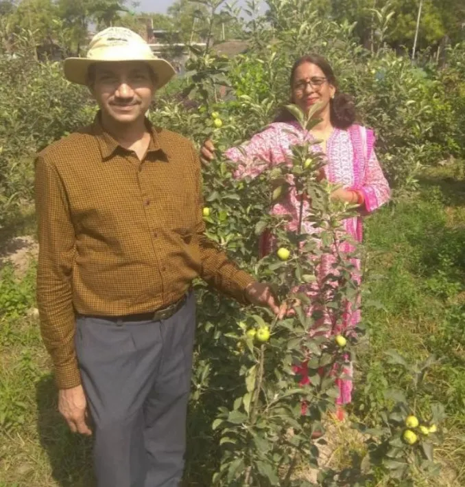 Chia seeds farming by Harishchandra