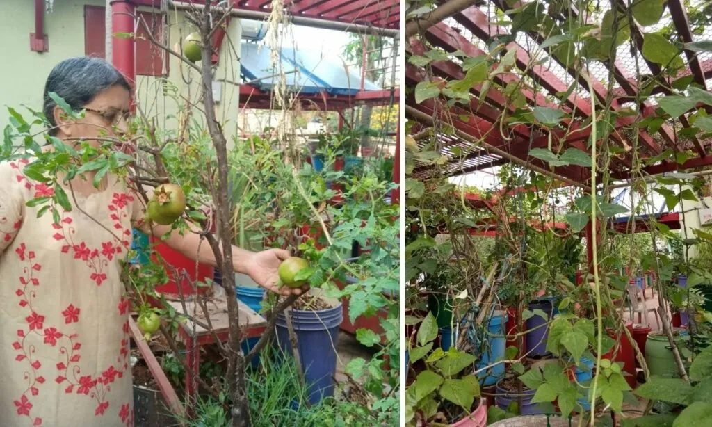 Bengaluru Woman Making Compost 