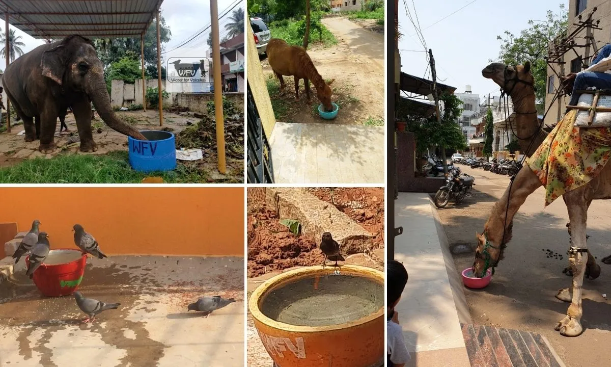 Water for Voiceless