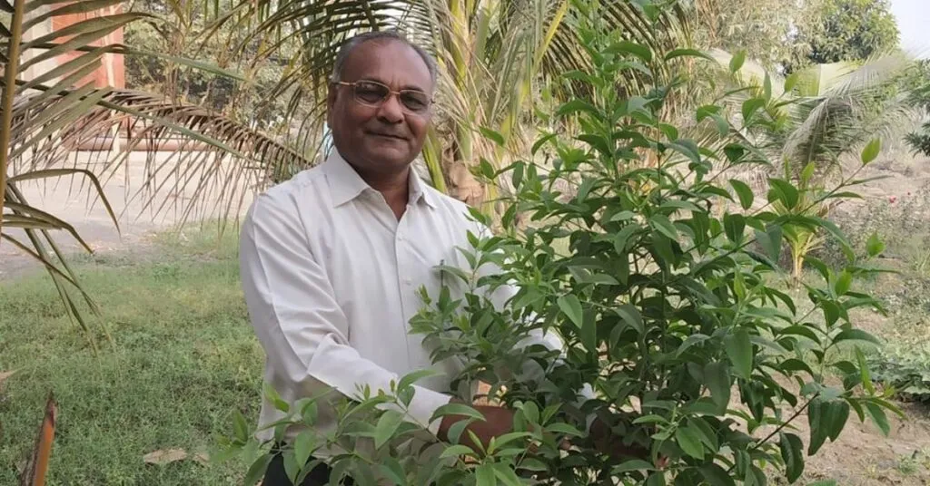 अश्वगंधा उगाएं 