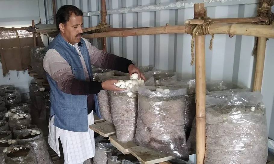 Business Ideas for Farmers