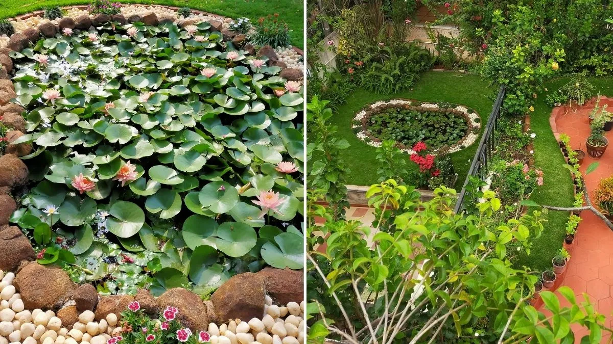 House Garden 