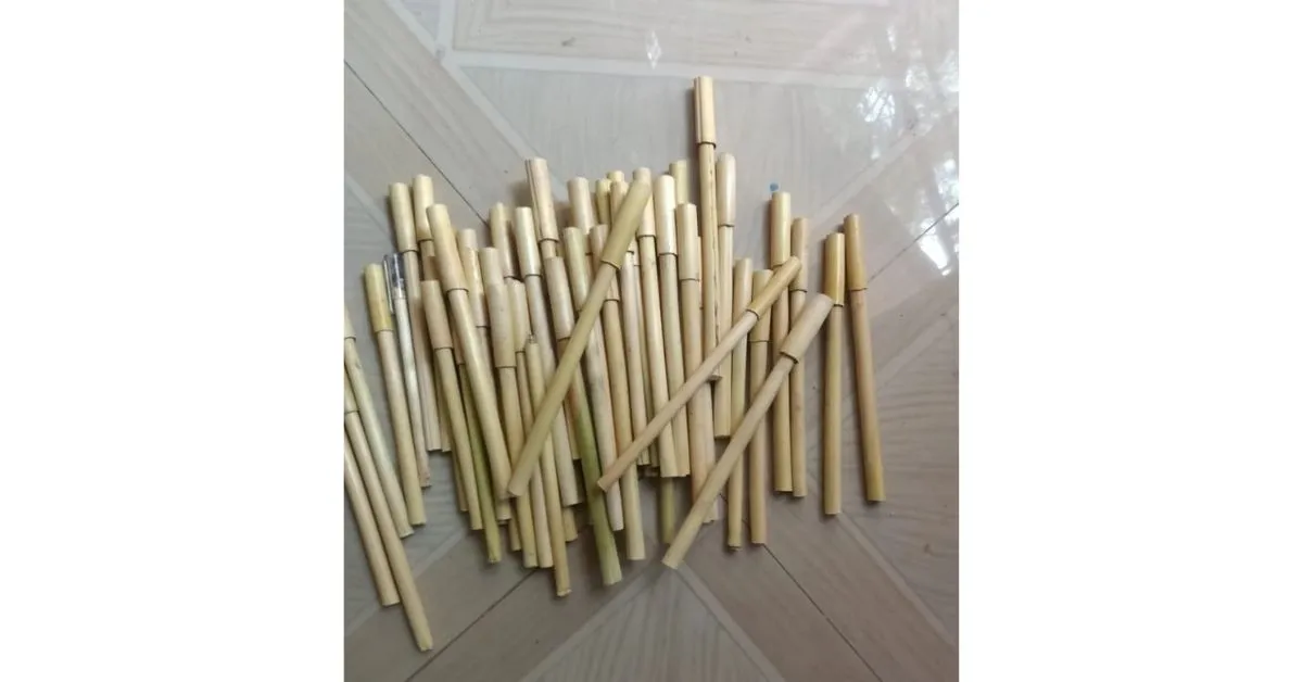 Eco Friendly Pens