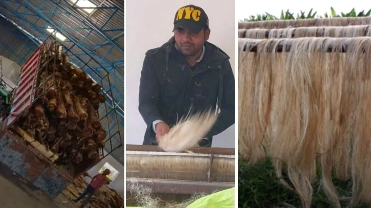 agriculture waste
