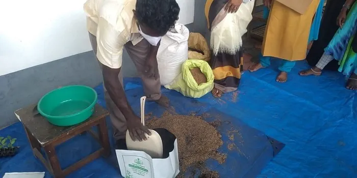 Rice husk for potting mix