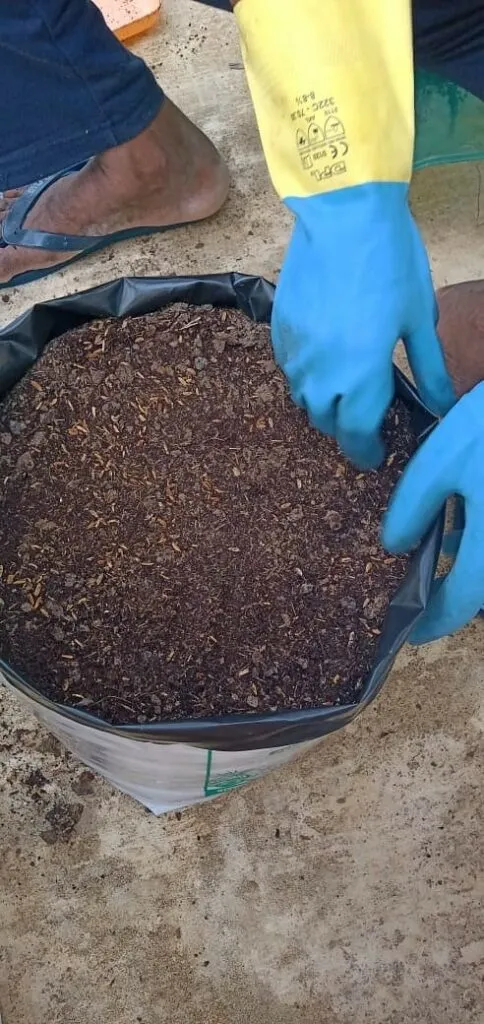 (potting mix)