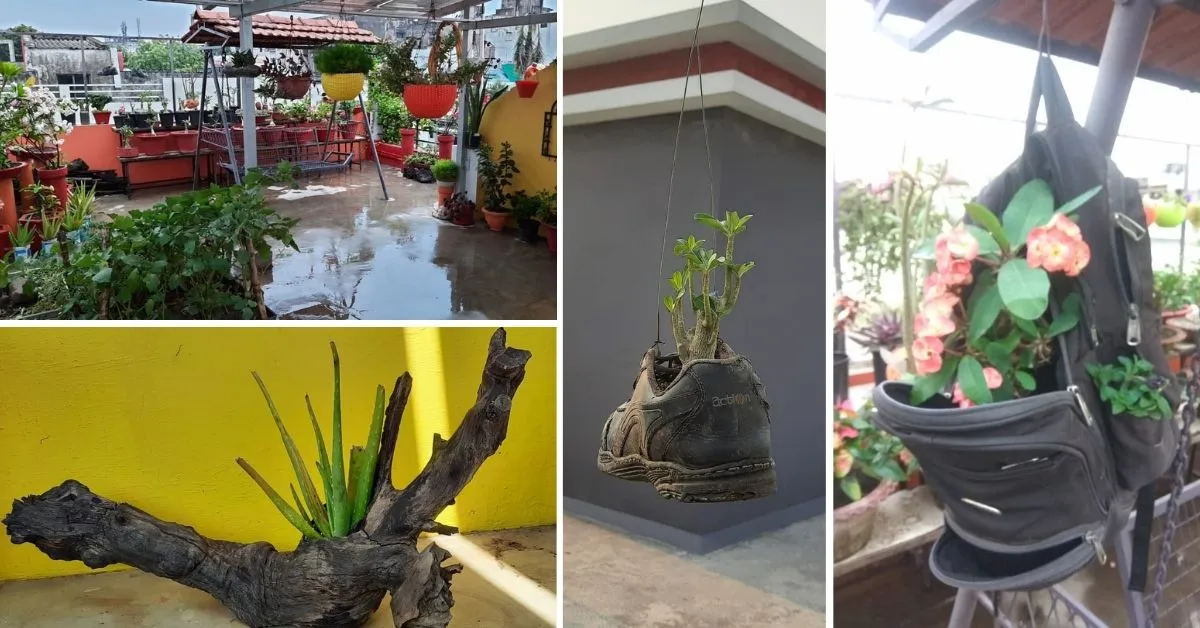 Terrace Garden in Nagpur