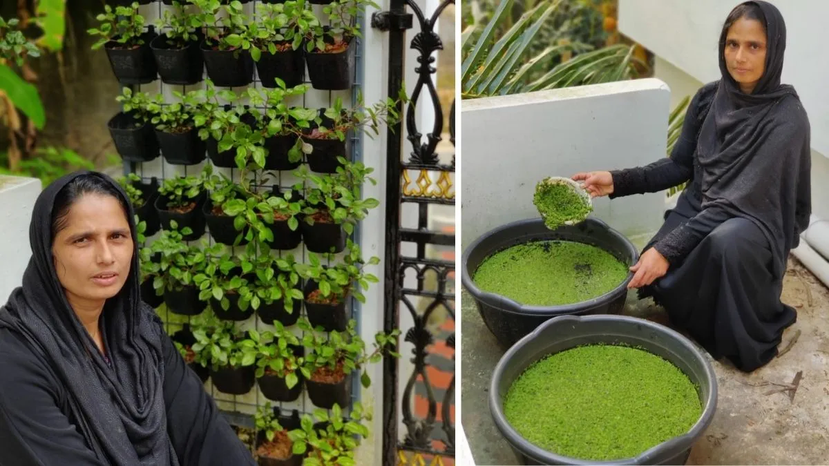 terrace farming business