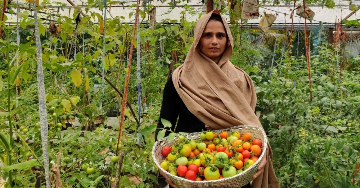 terrace farming business