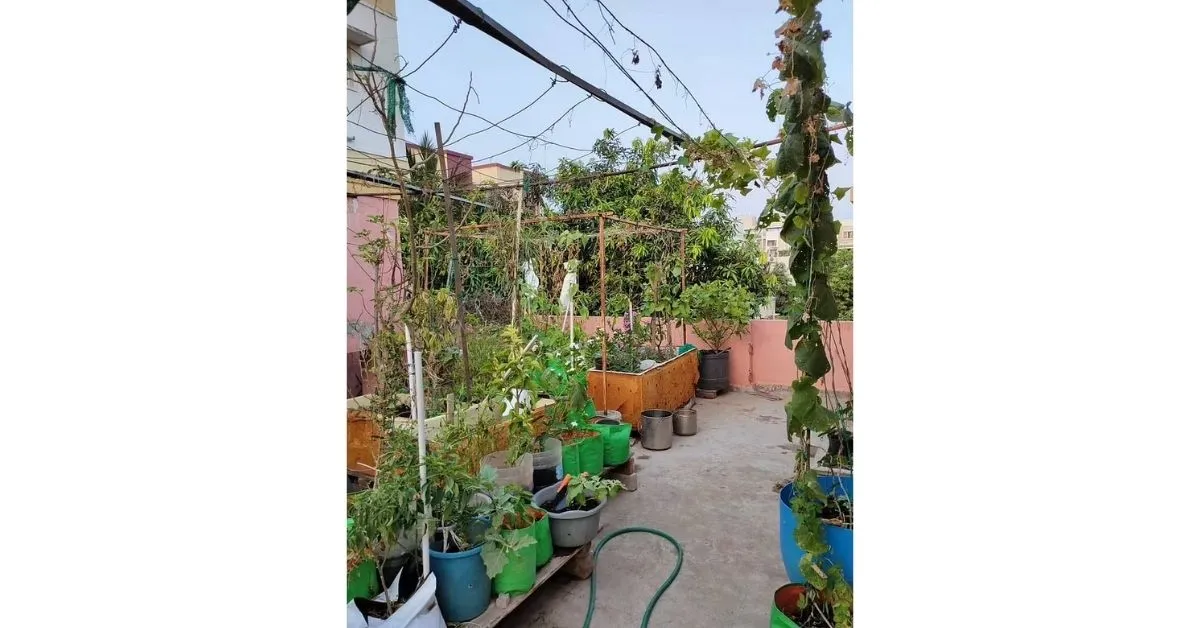 Terrace Gardening In Chennai