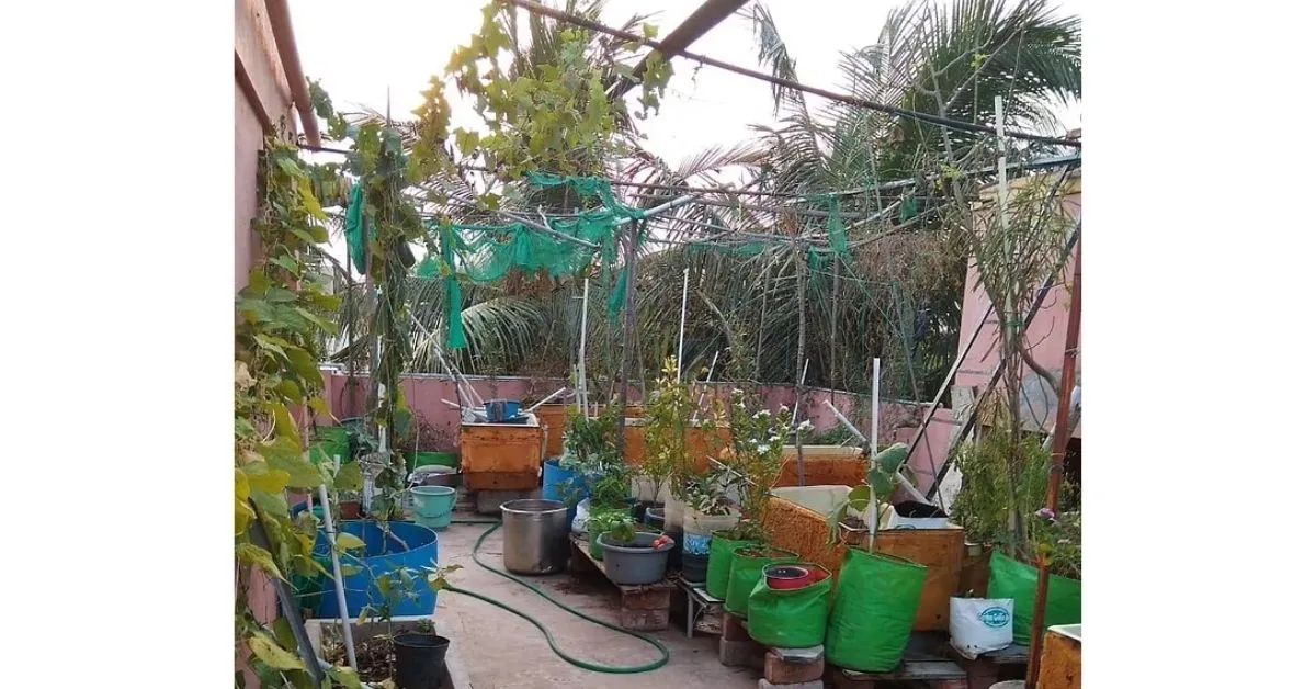 Terrace Gardening In Chennai