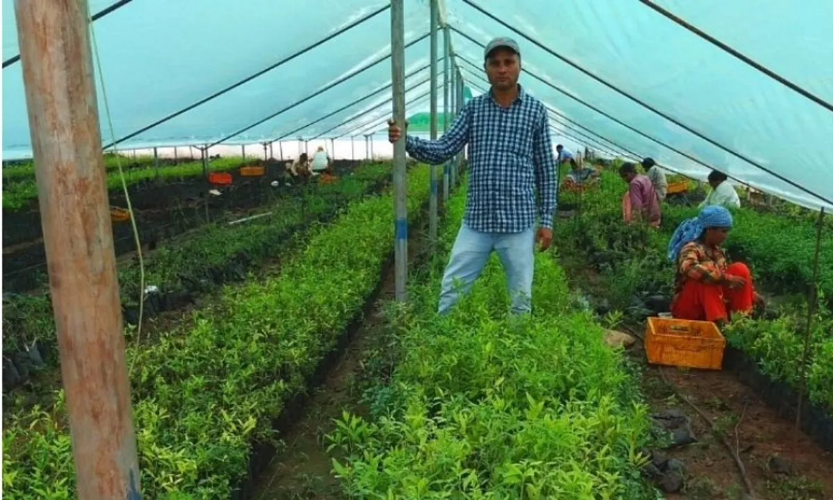 Business Ideas for Farmers