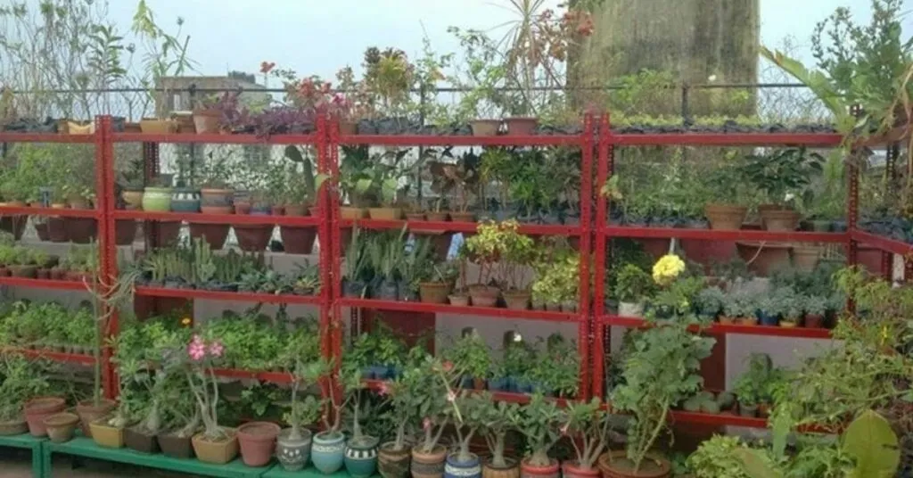 Free Gardening