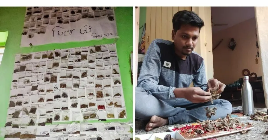 free seed bank