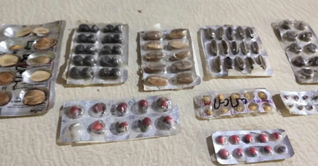 free seed bank