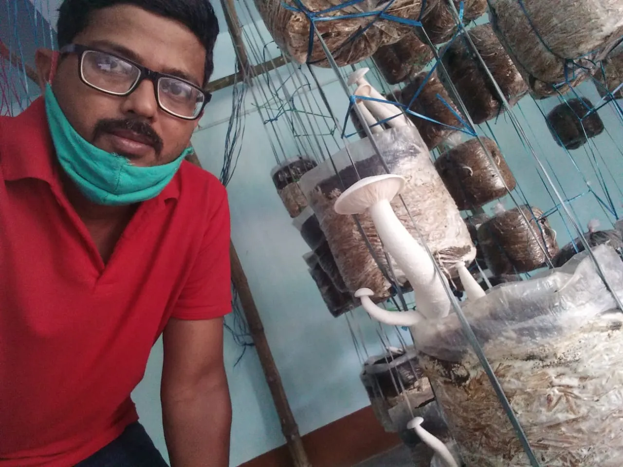 Mushroom Farming in Lockdown