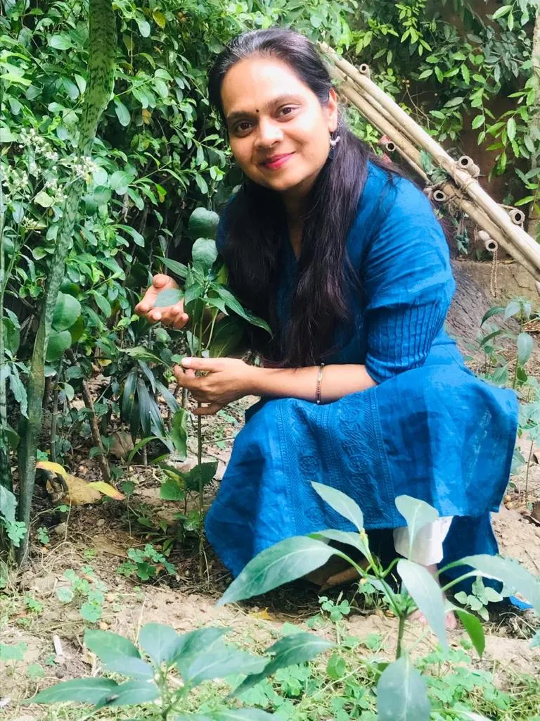 Soil Preparation For Home Garden