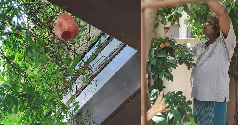 home gardening