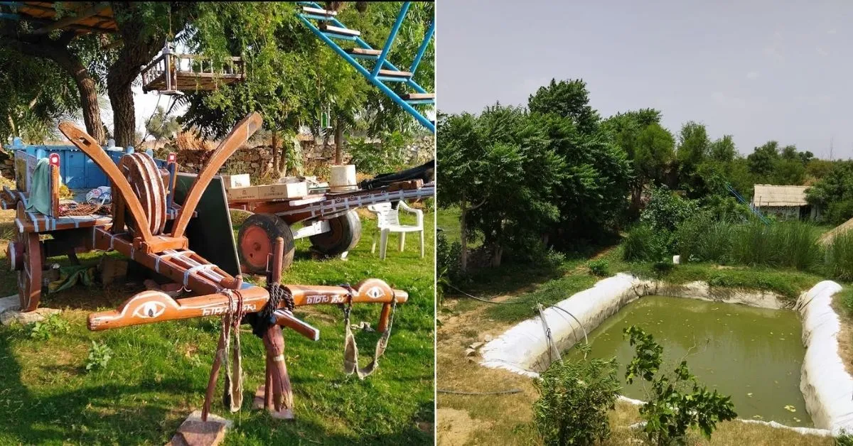 Rajasthan Man Planted Trees