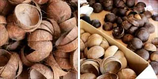 Raw coconut shells to make bowl