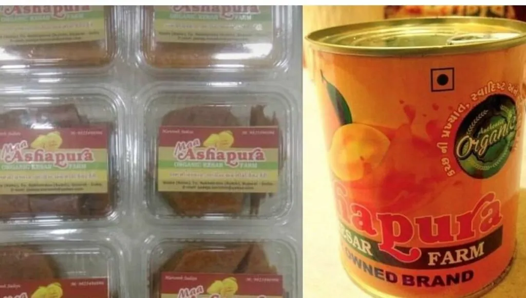 Mango pulp business
