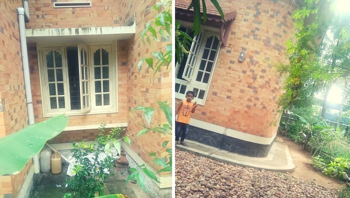 Eco friendly house without plaster 