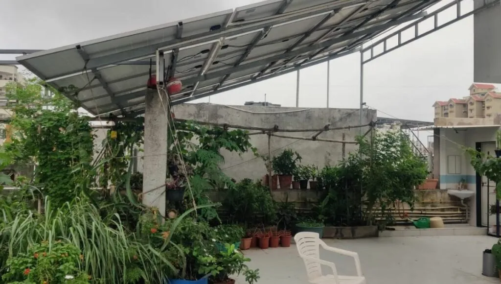 terrace vegetable garden