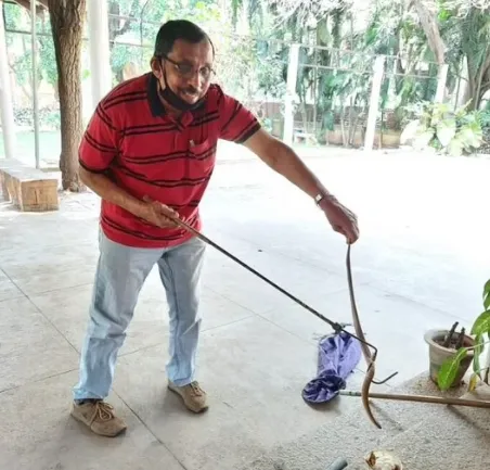 K A Ponnanna handling snakes at IISc. IISc Security Guard mentoring research students