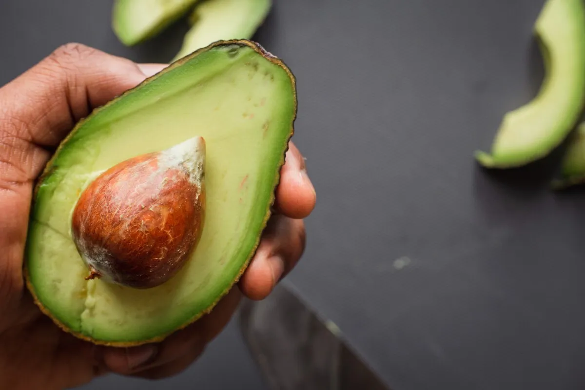 Avocado Seed 
