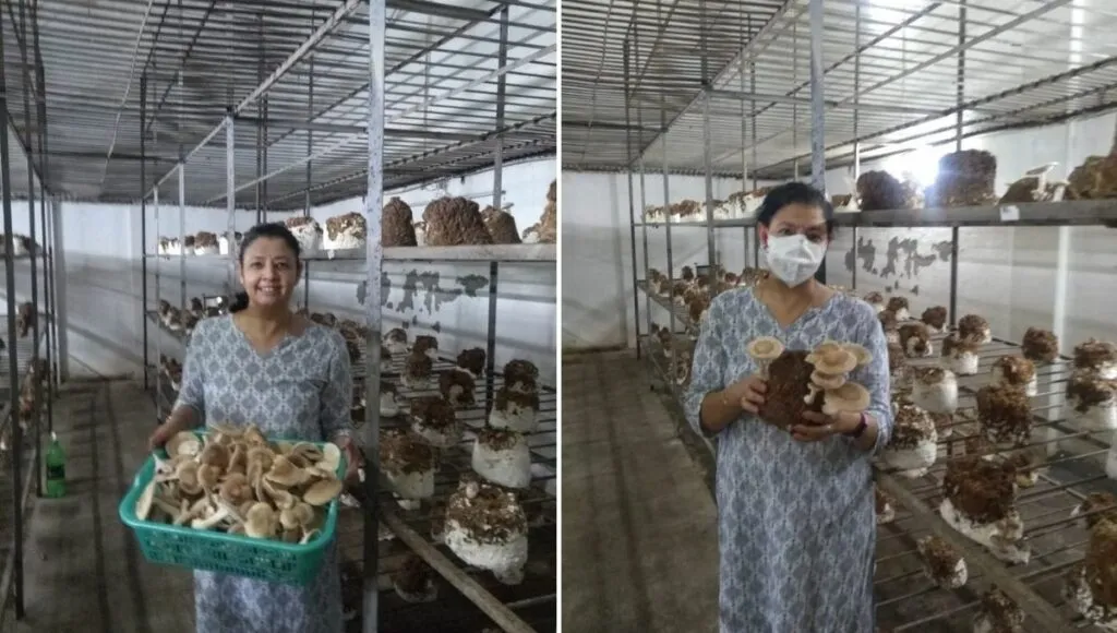 mushroom business 