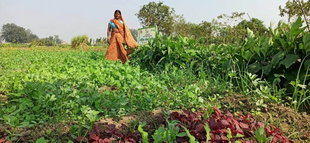 The small garden of these women farmers wiped out the hunger of the entire village during the Corona period.