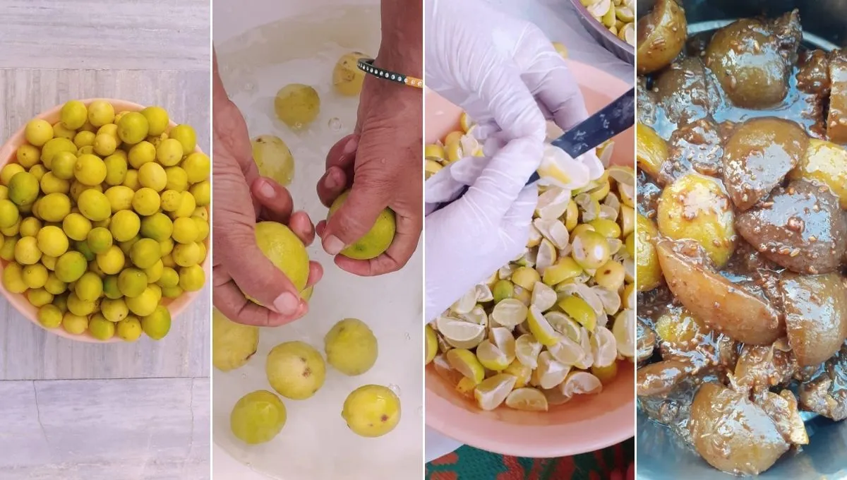 Lemon Pickle Business 