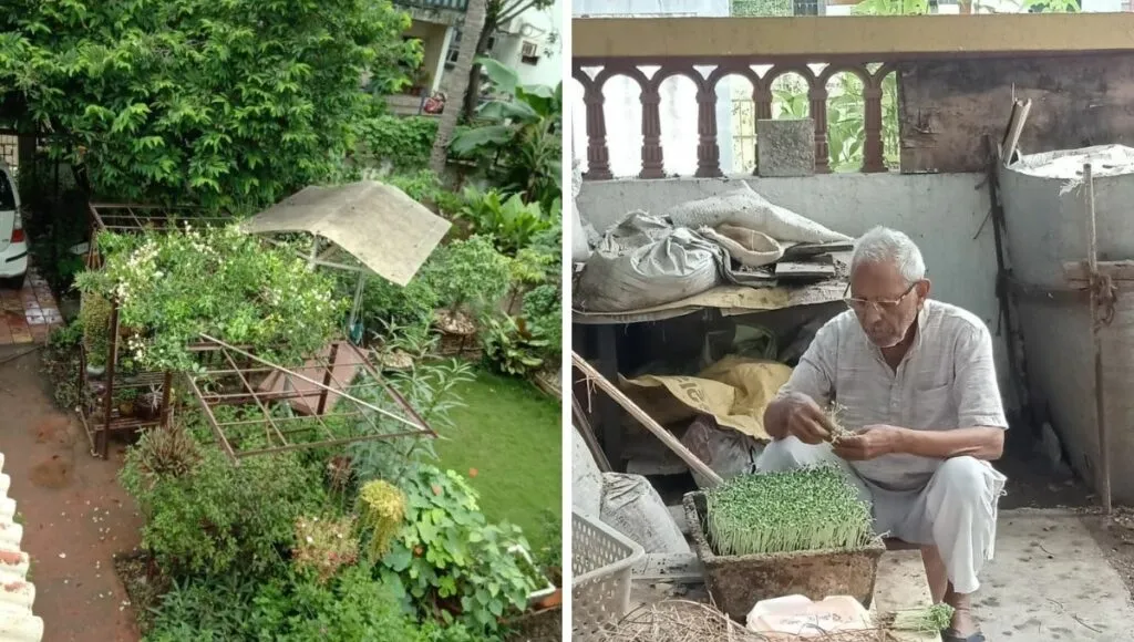 Padmakar is growing fruits & vegetables At home