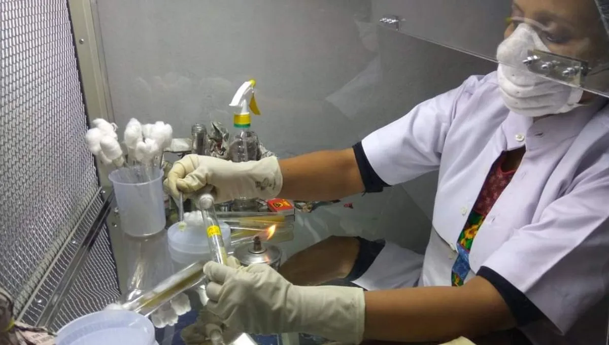 Dr. Pooja Dubey Pandey in Lab experimenting on mushroom