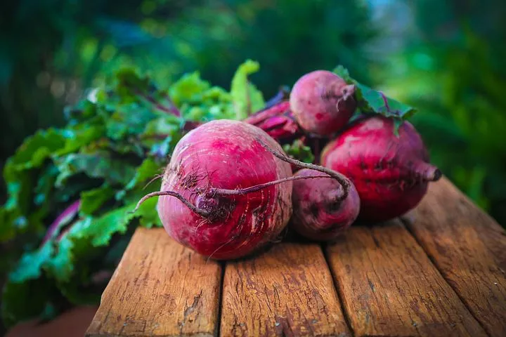 Grow Beetroot in august