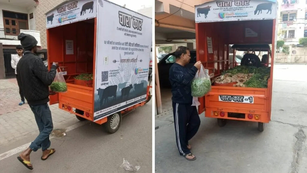green waste in chara car
