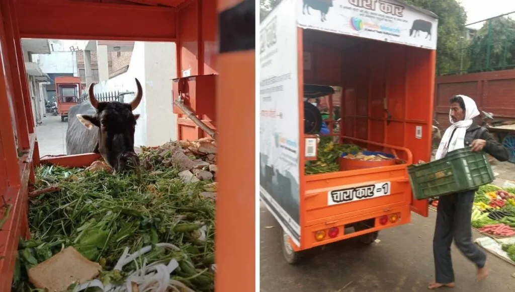 chara car collecting green waste to feed nandi