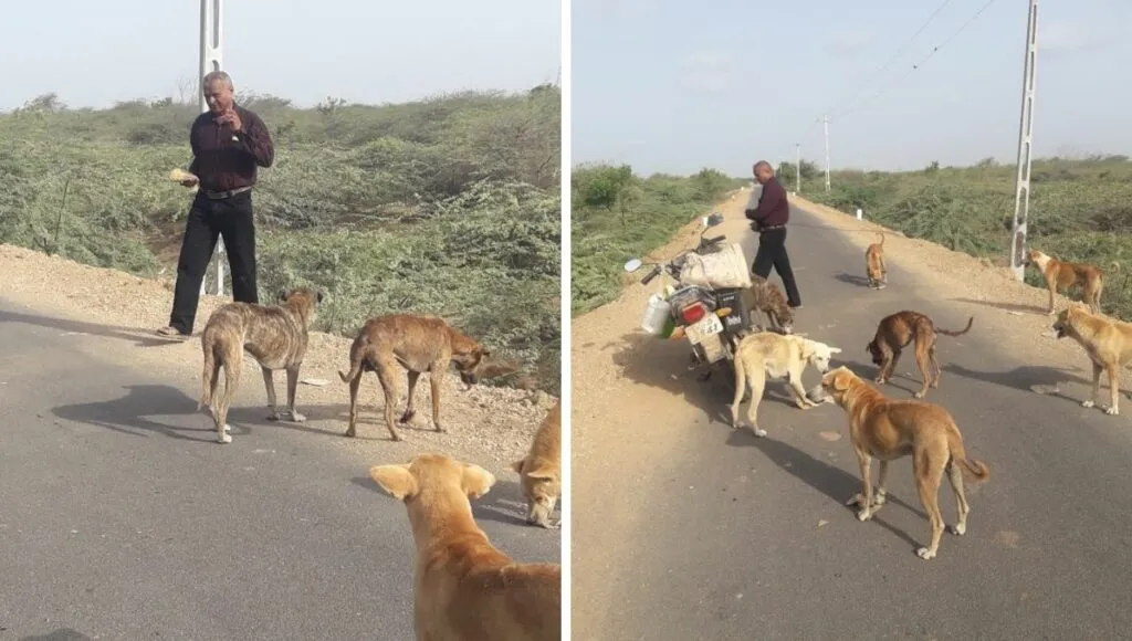 Jashraj Charan Feeding Stray Animals