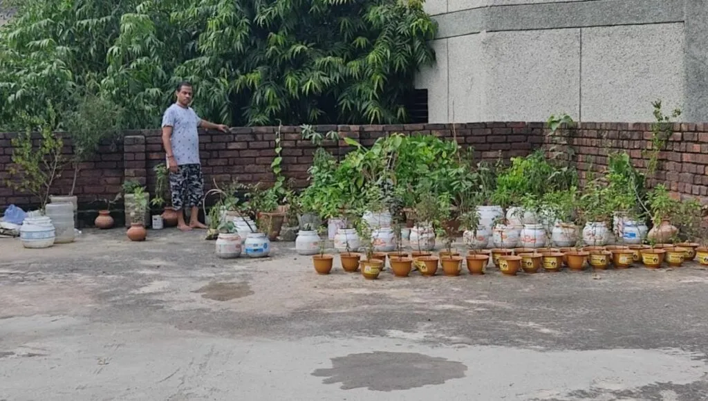 Plantation in temple
