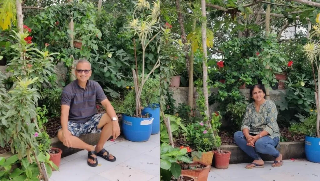 terrace vegetable garden<br />
