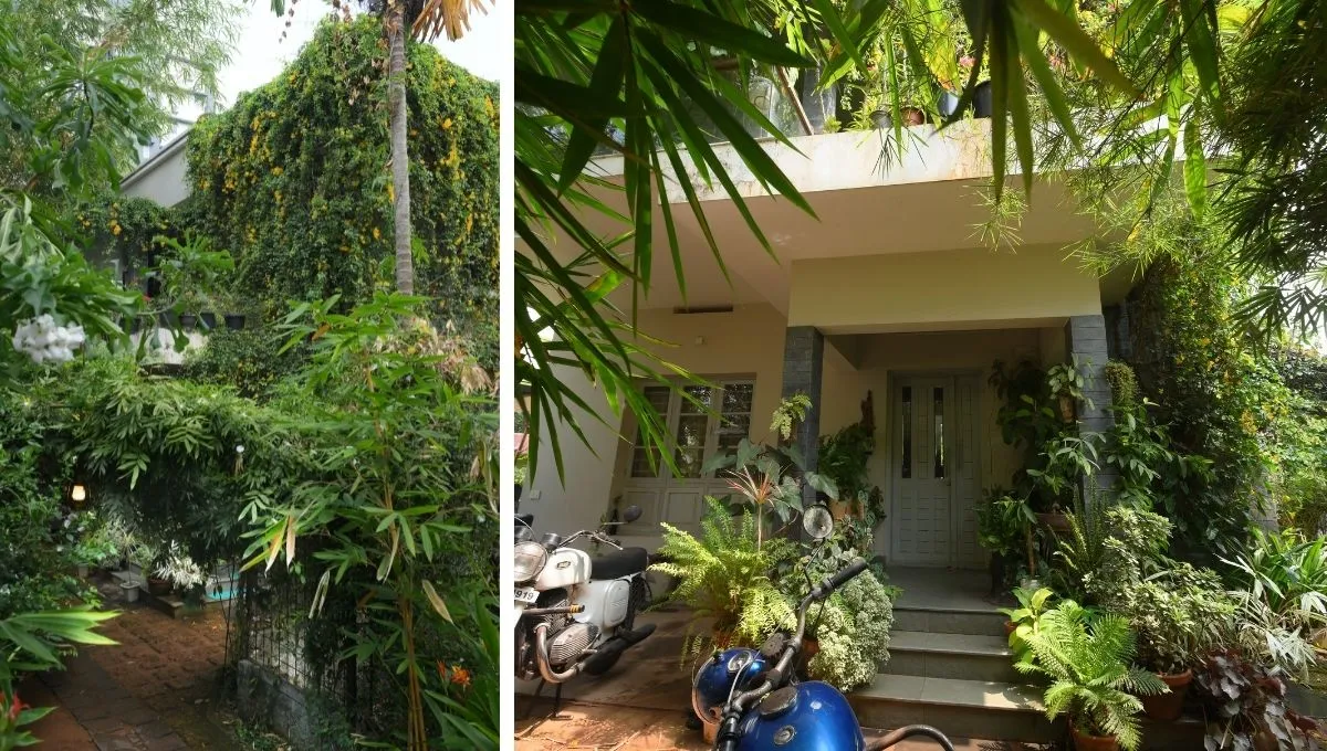 Environment Friendly House in kerala