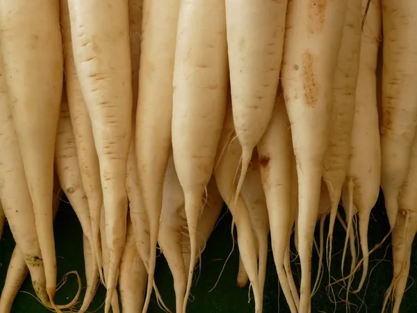 Radish Vegetable