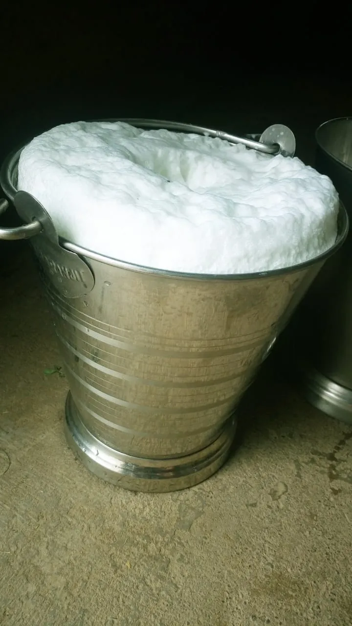 Milk 