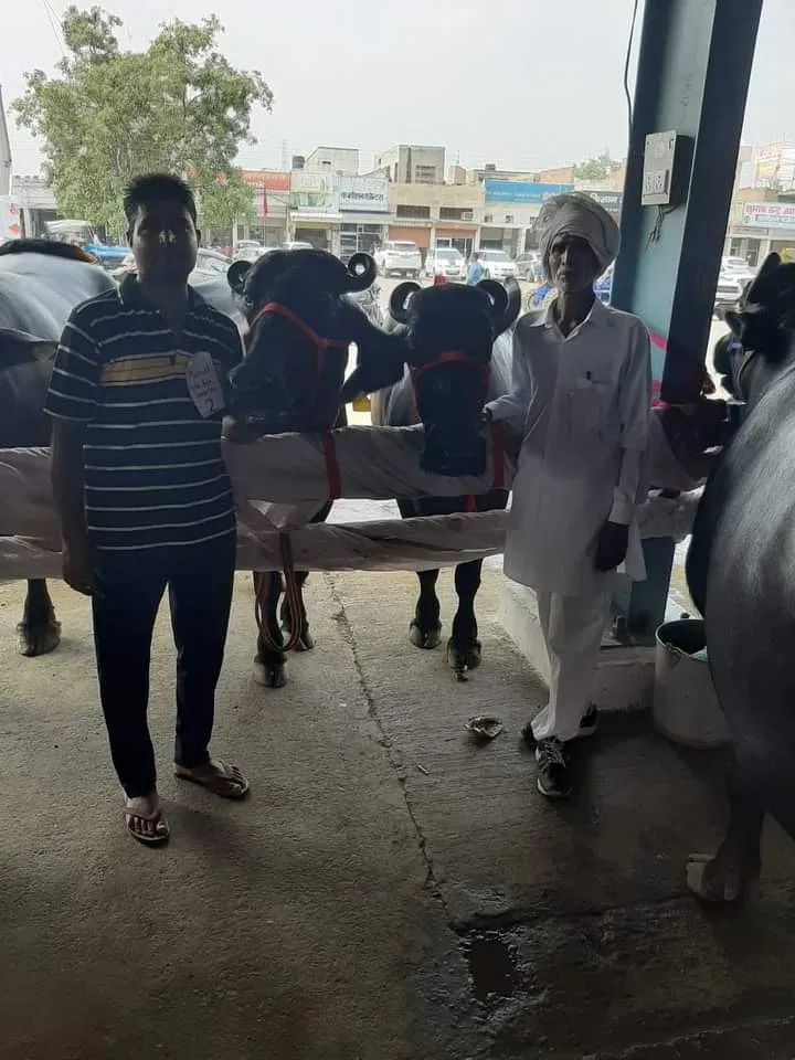 School Teacher Ravish running side business in his free time 