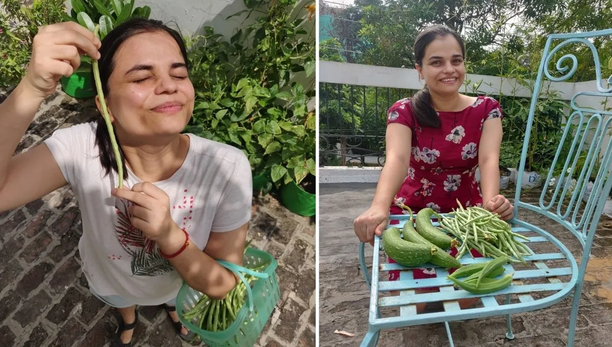 Growing beans at home 