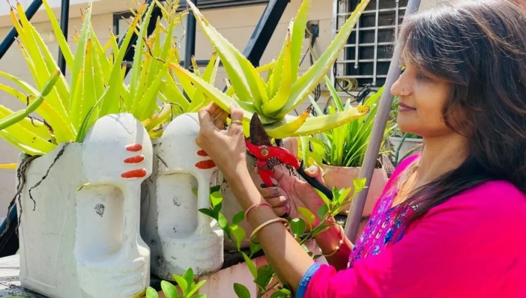 Jagruti patel gardening expert 